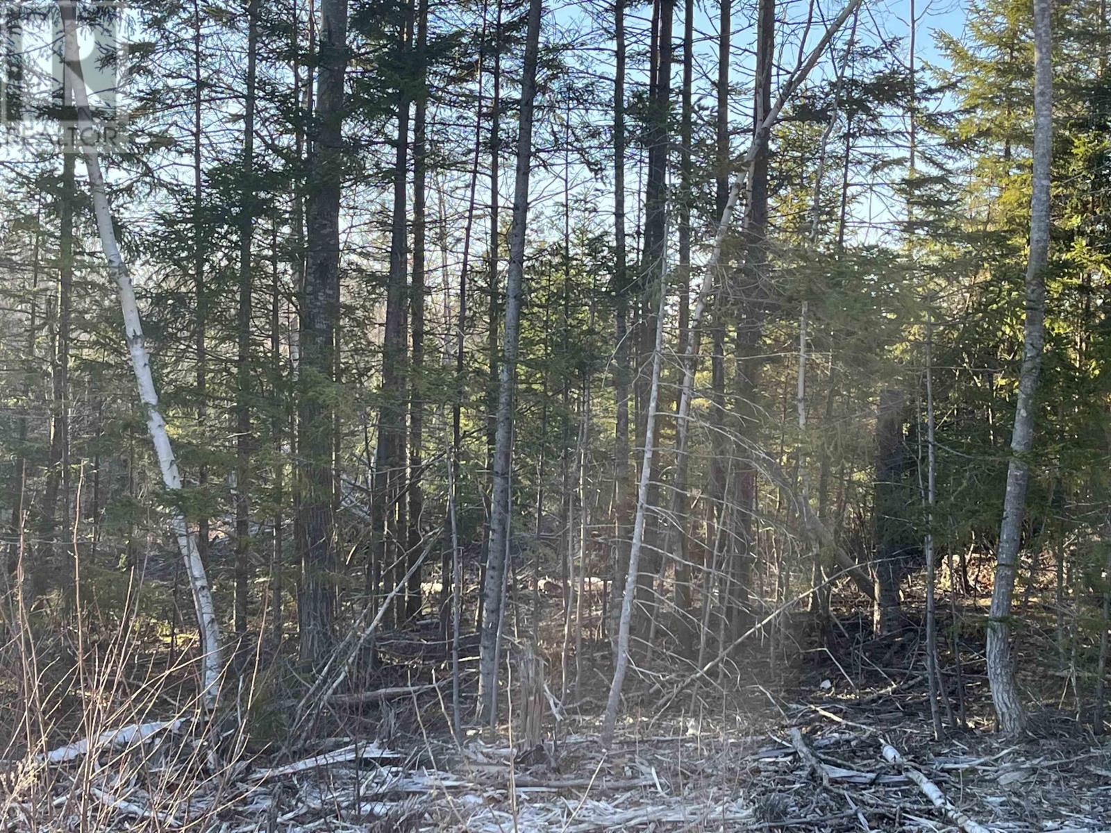Lot 1 North River Road, Casey Corner, Nova Scotia  B4N 3V8 - Photo 4 - 202407213