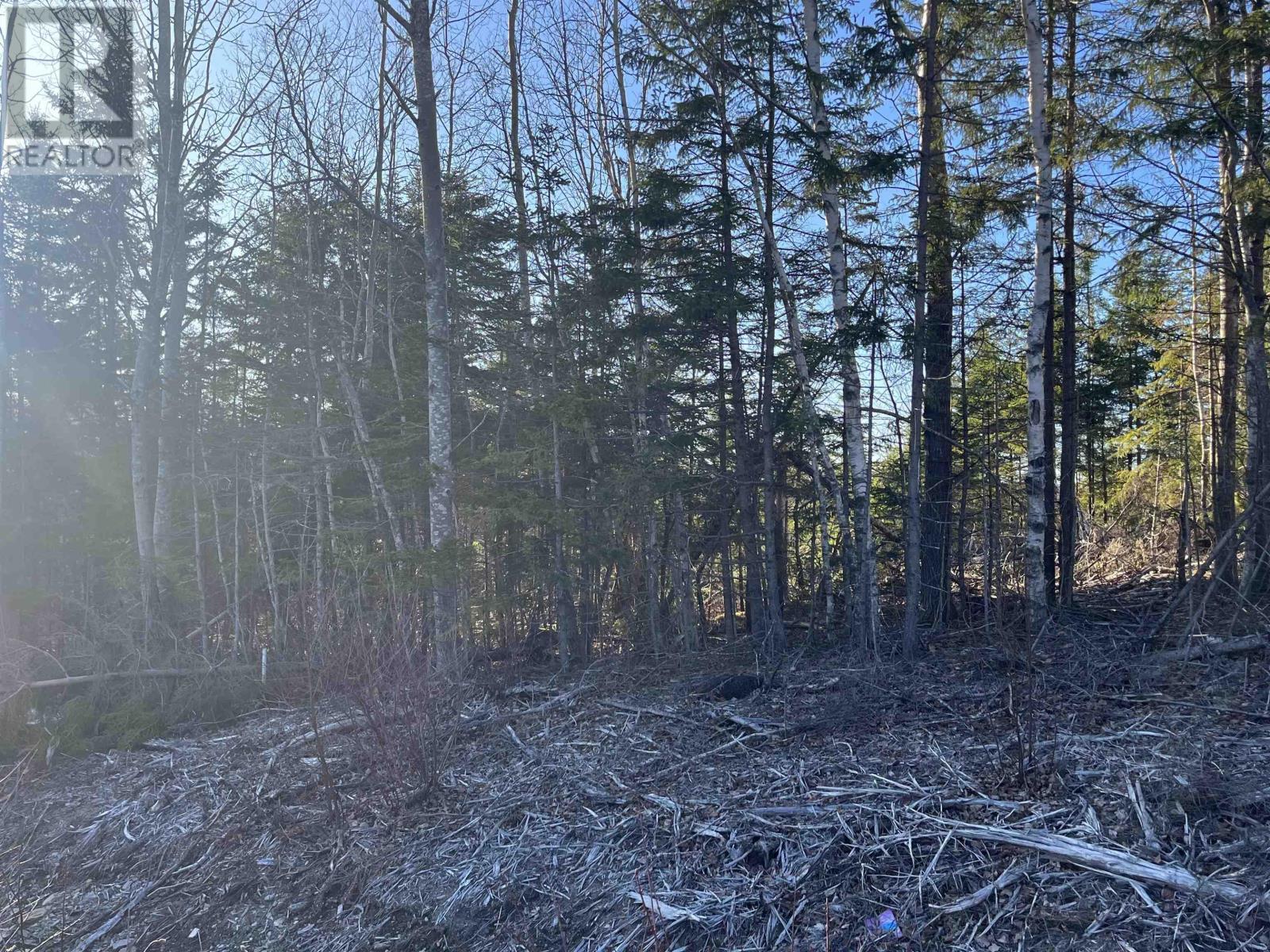 Lot 1 North River Road, Casey Corner, Nova Scotia  B4N 3V8 - Photo 5 - 202407213