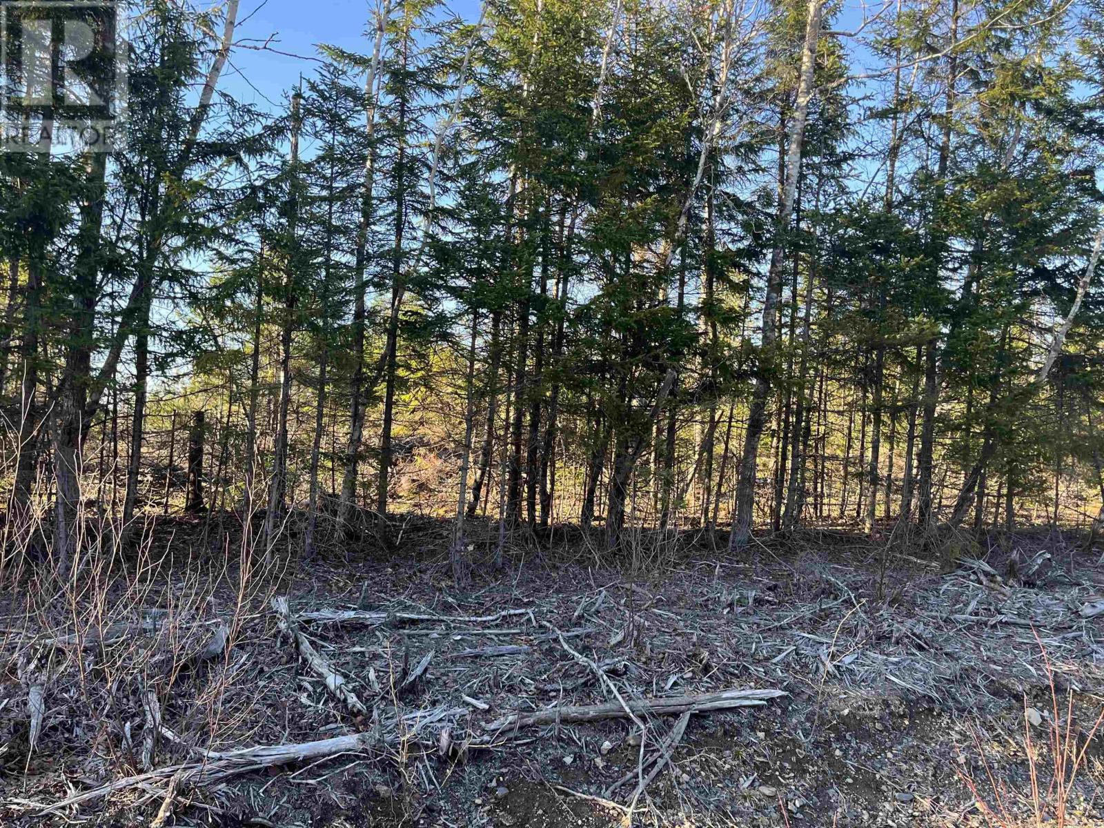 Lot 2 North River Road, Casey Corner, Nova Scotia  B4N 3V8 - Photo 1 - 202407214