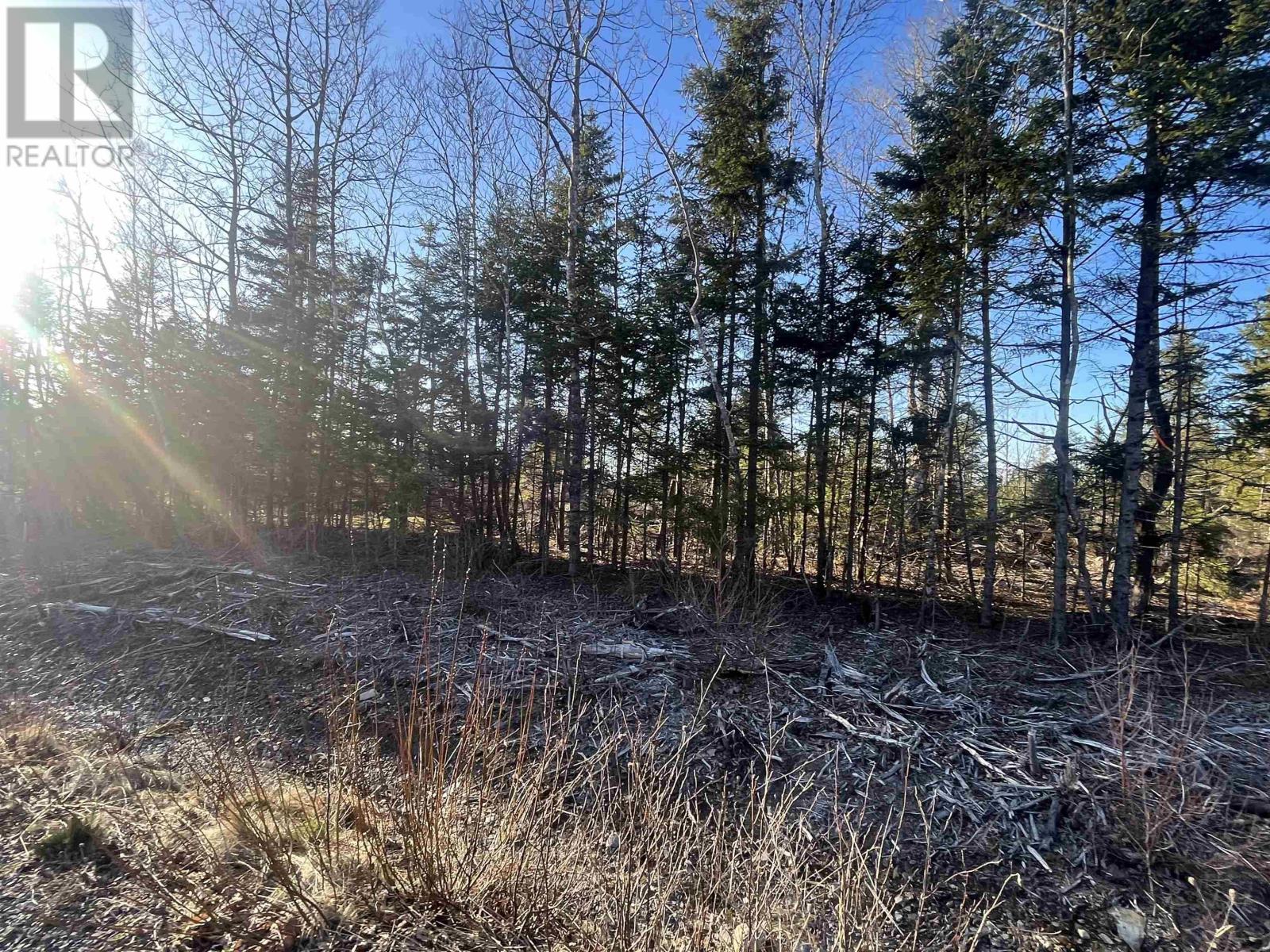 Lot 2 North River Road, Casey Corner, Nova Scotia  B4N 3V8 - Photo 2 - 202407214