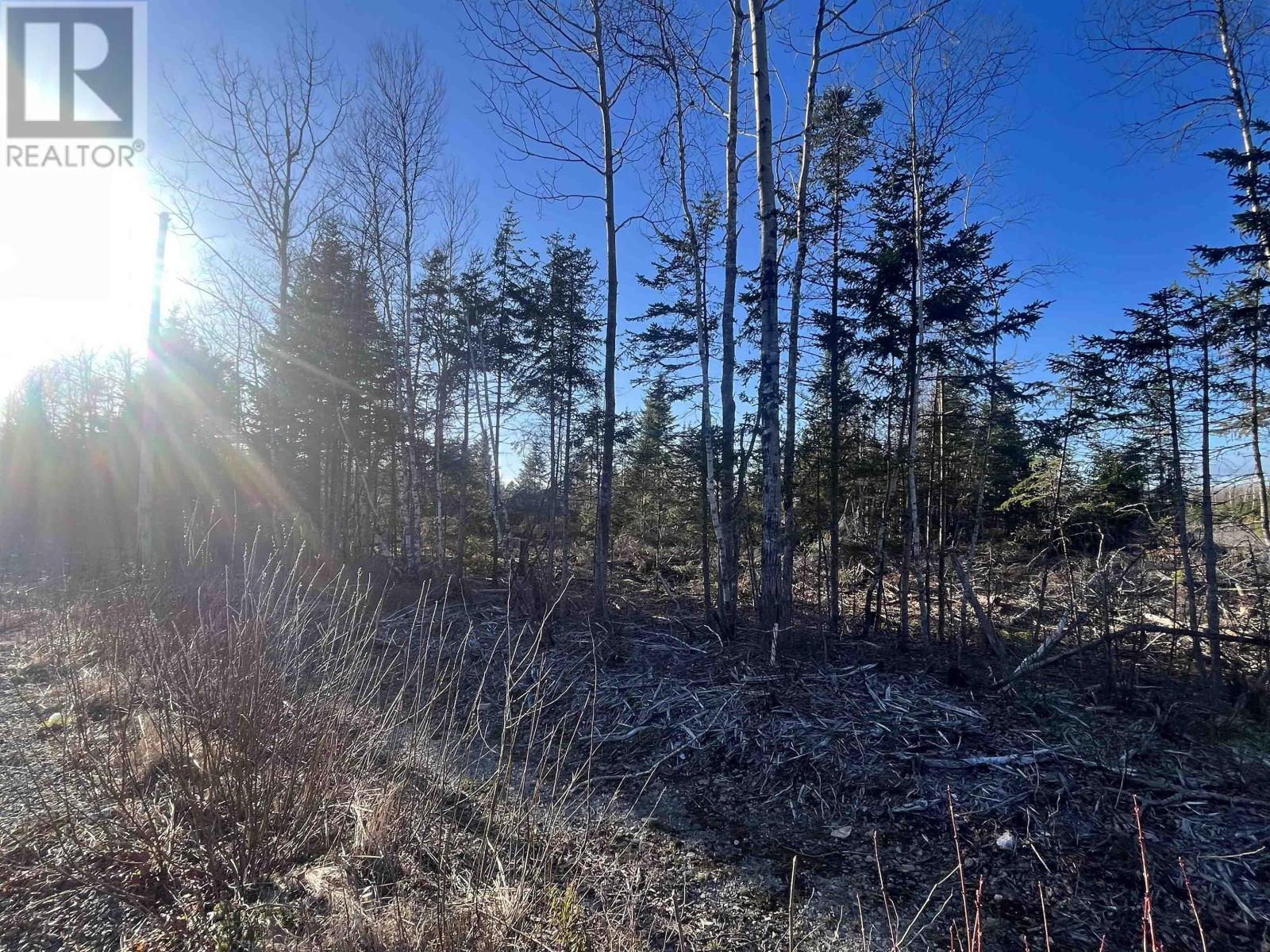 Lot 2 North River Road, Casey Corner, Nova Scotia  B4N 3V8 - Photo 3 - 202407214