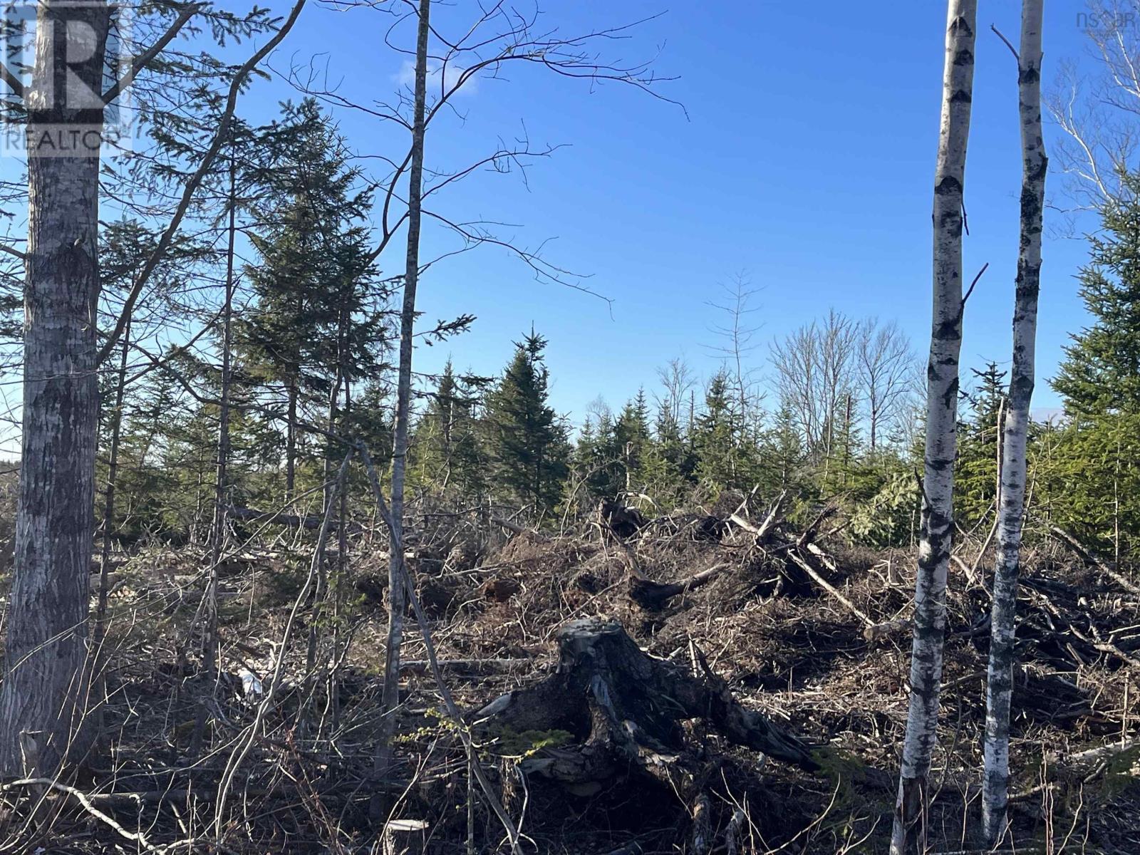 Lot 2 North River Road, Casey Corner, Nova Scotia  B4N 3V8 - Photo 4 - 202407214