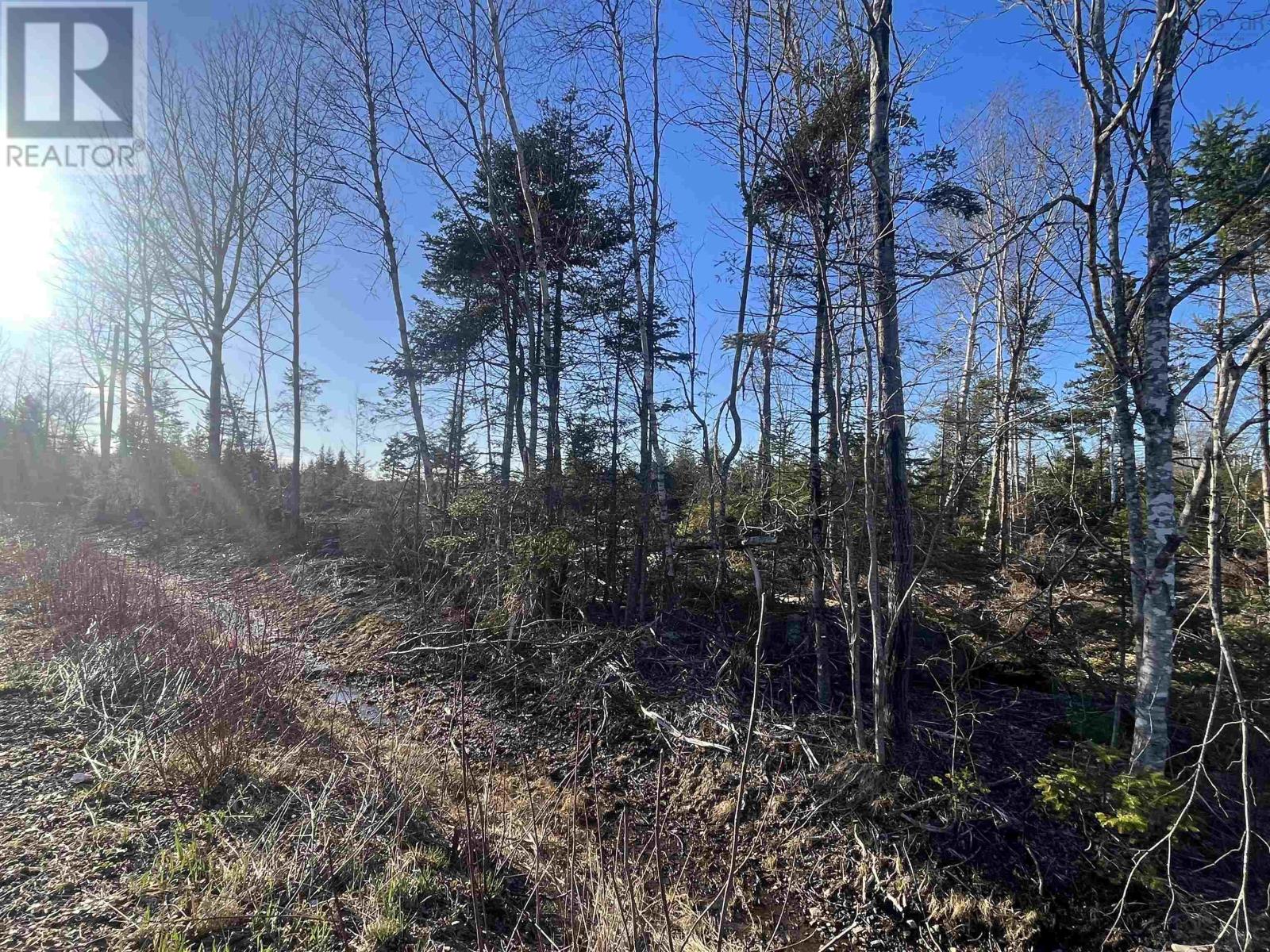Lot 2 North River Road, Casey Corner, Nova Scotia  B4N 3V8 - Photo 5 - 202407214