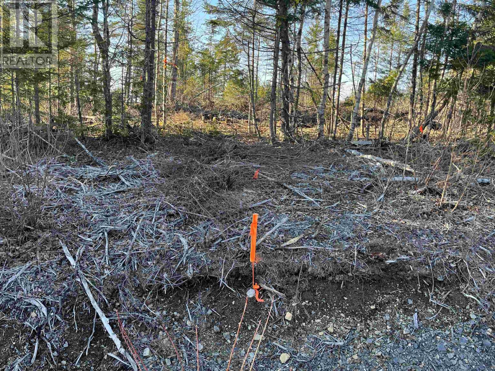 Lot 2 North River Road, Casey Corner, Nova Scotia  B4N 3V8 - Photo 6 - 202407214