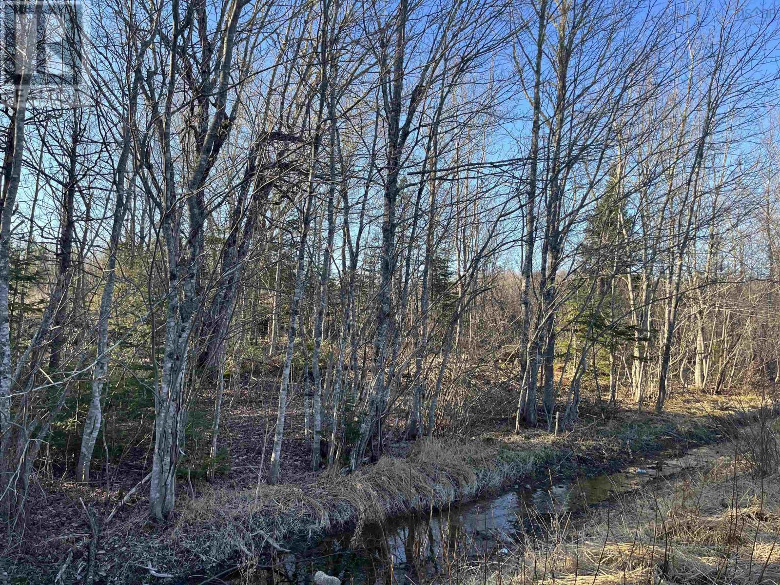 Lot 4 North River Road, Casey Corner, Nova Scotia  B4N 3V8 - Photo 1 - 202407217