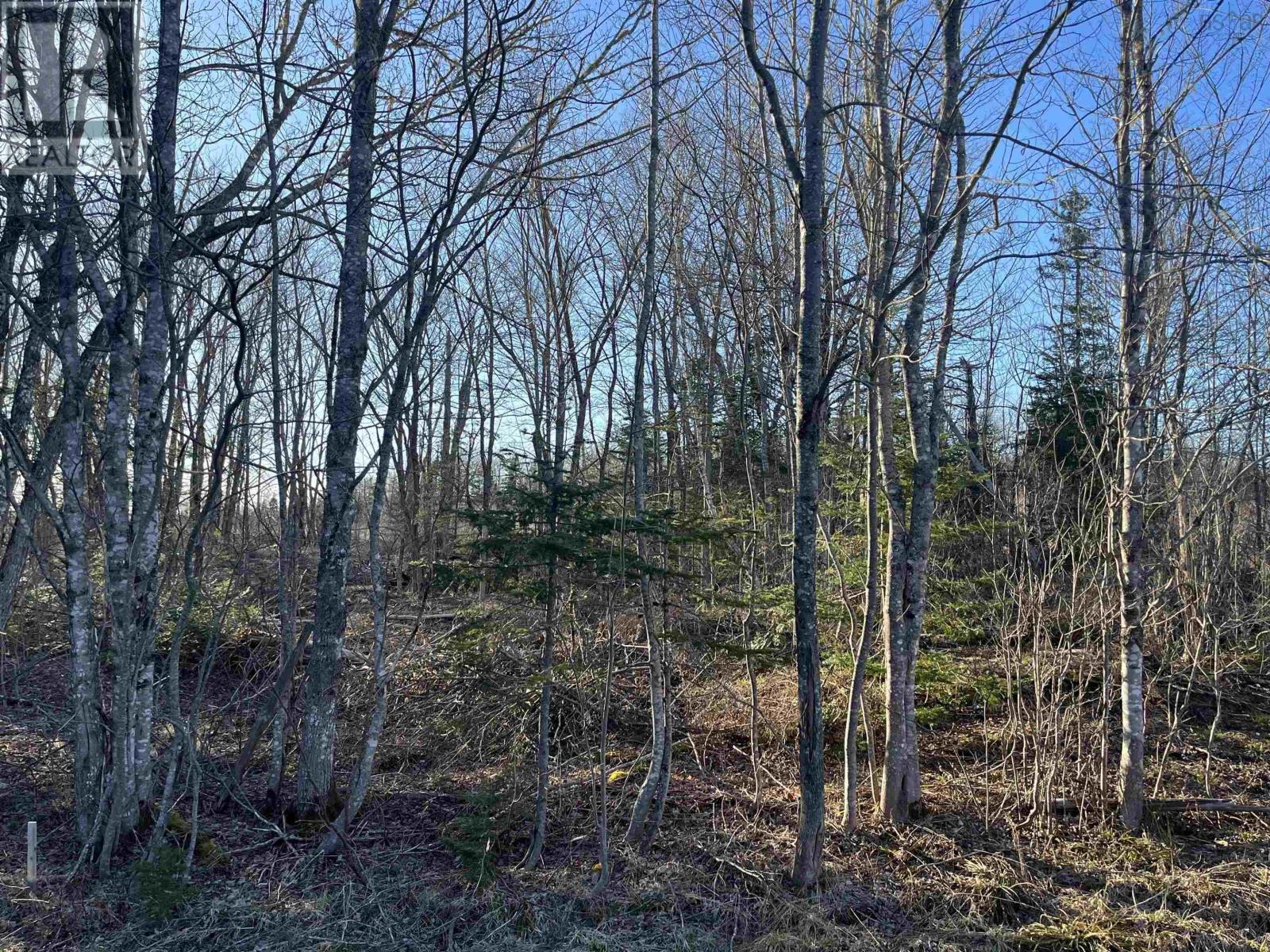 Lot 4 North River Road, Casey Corner, Nova Scotia  B4N 3V8 - Photo 2 - 202407217