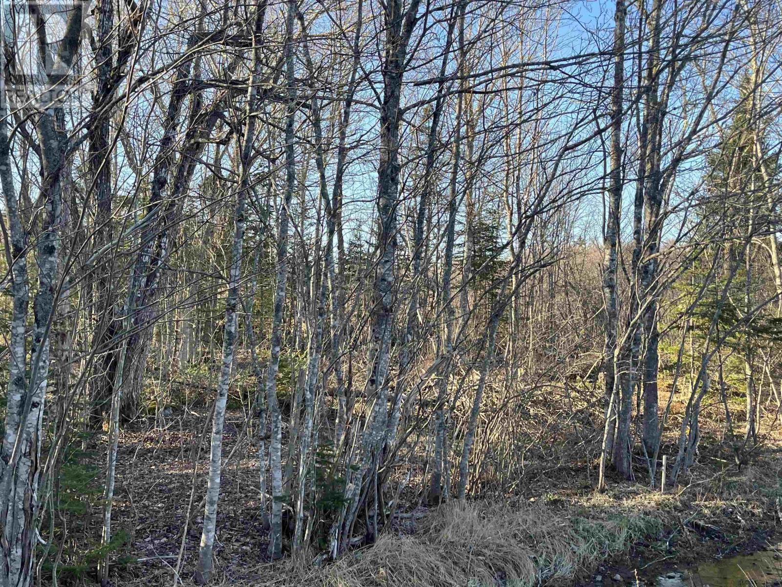 Lot 4 North River Road, Casey Corner, Nova Scotia  B4N 3V8 - Photo 4 - 202407217