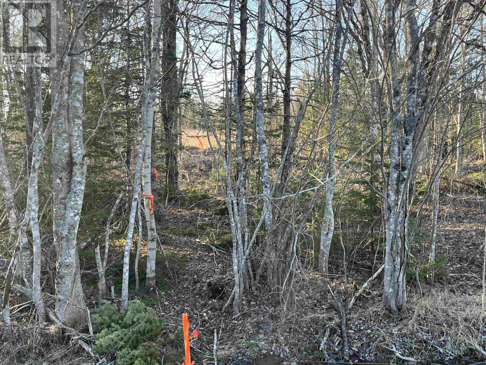 Lot 4 North River Road, Casey Corner, Nova Scotia  B4N 3V8 - Photo 5 - 202407217