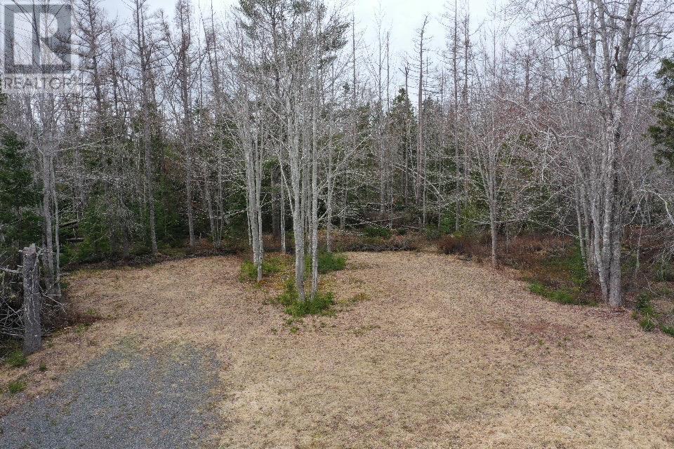 No 14 Highway, West Wentworth, Nova Scotia  B0M 1Z0 - Photo 1 - 202407199