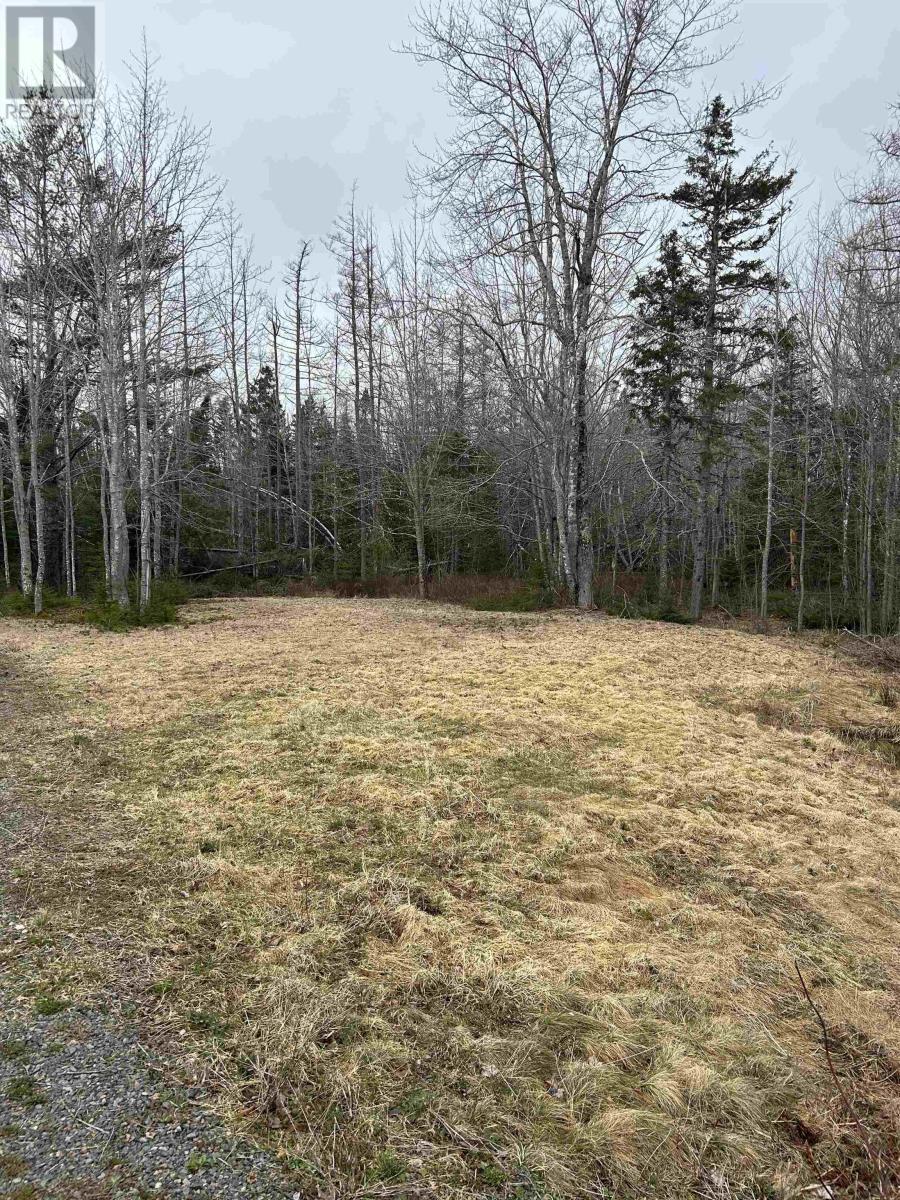 No 14 Highway, West Wentworth, Nova Scotia  B0M 1Z0 - Photo 5 - 202407199