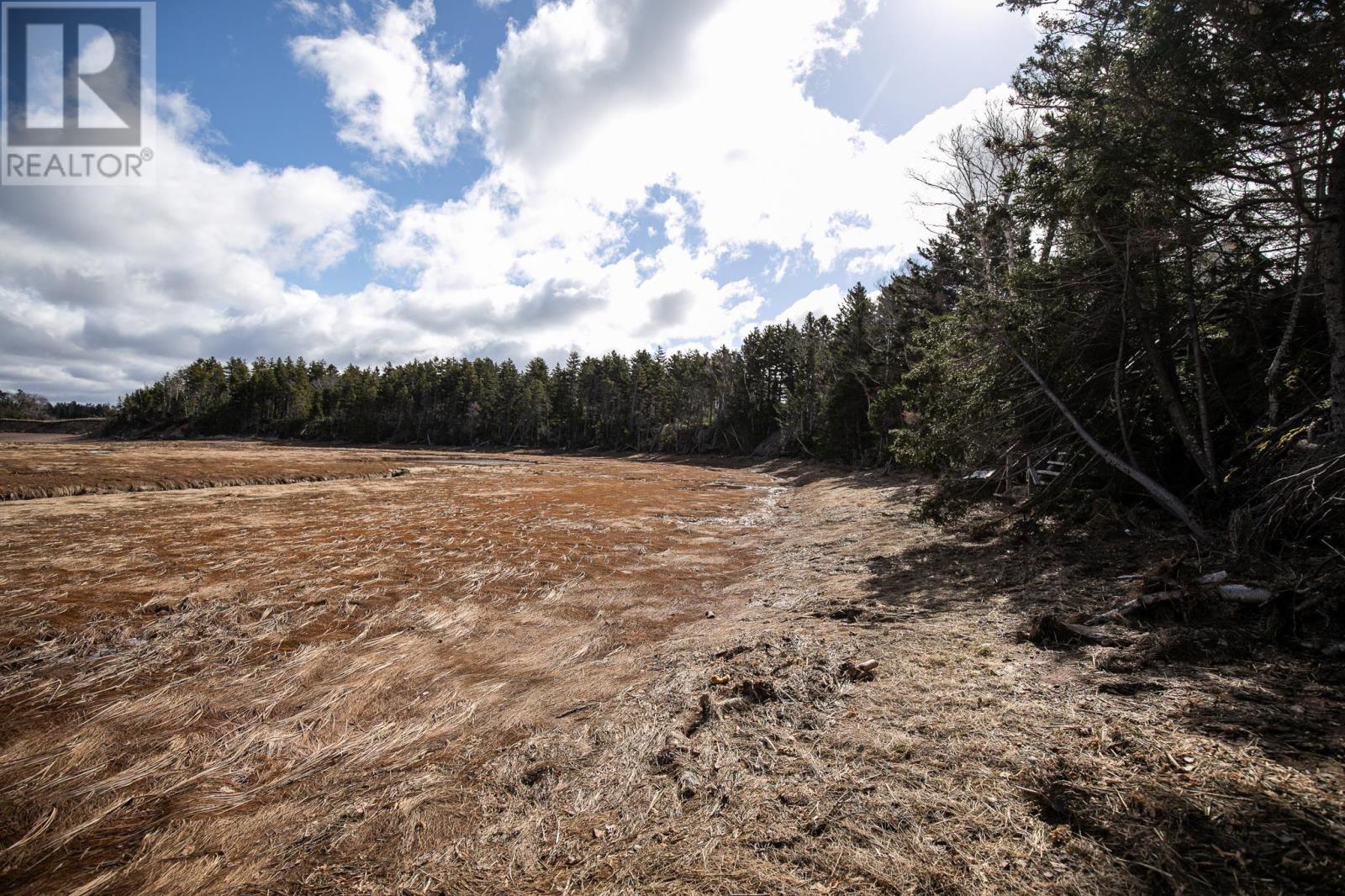 16 Sand Point Hill Lane, Five Islands, Nova Scotia  B0M 1K0 - Photo 28 - 202407237