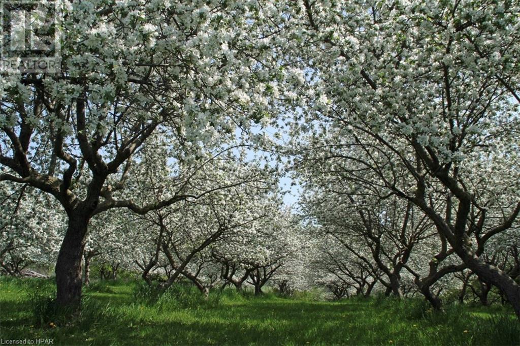 76716 Parr Line Line, Central Huron, Ontario  N0M 1L0 - Photo 38 - 40571484