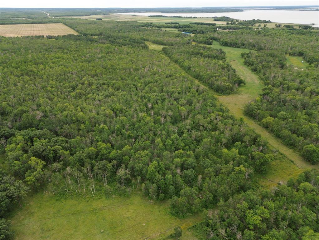 Sutton Harrison Real Estate Brandon Manitoba Homes Condos