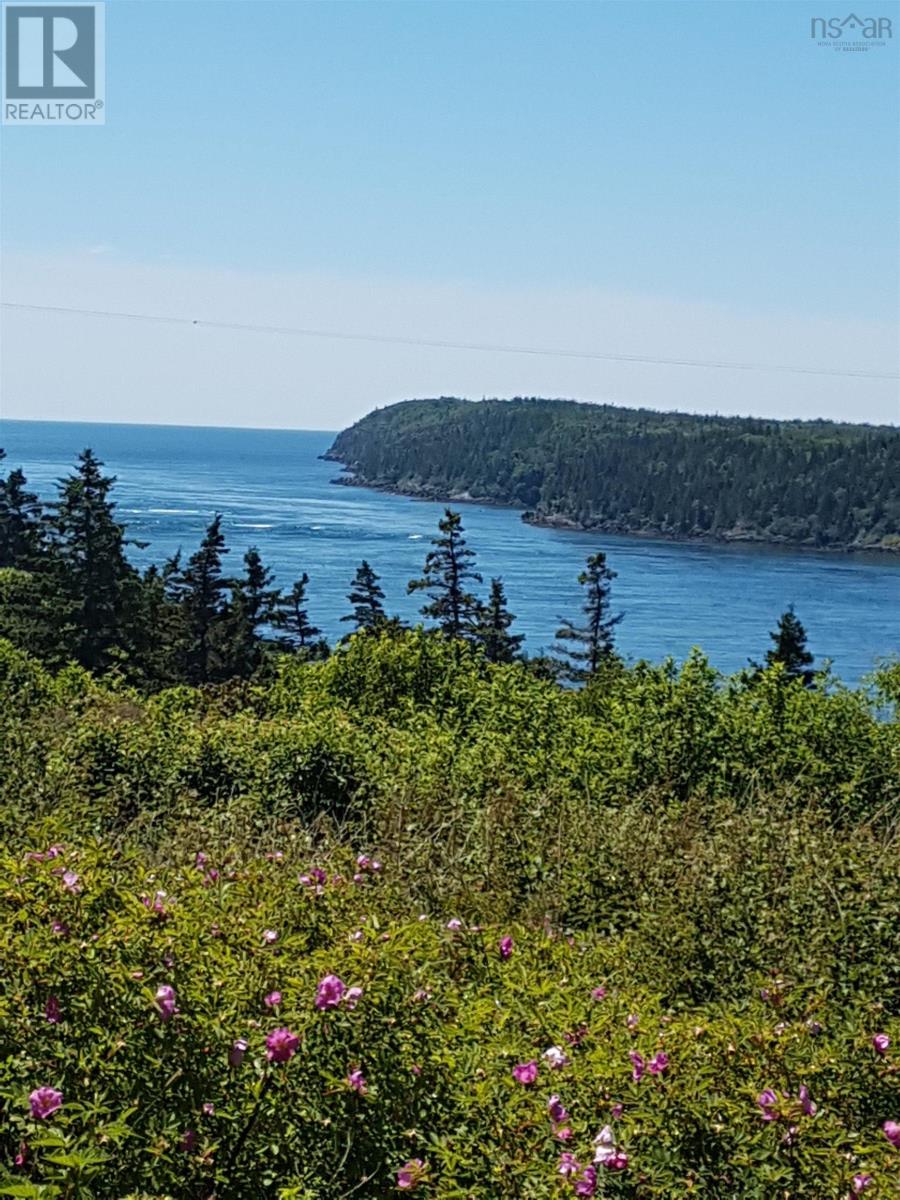 107 Across The Meadow Road, East Ferry, Nova Scotia  B0V 1E0 - Photo 39 - 202407268