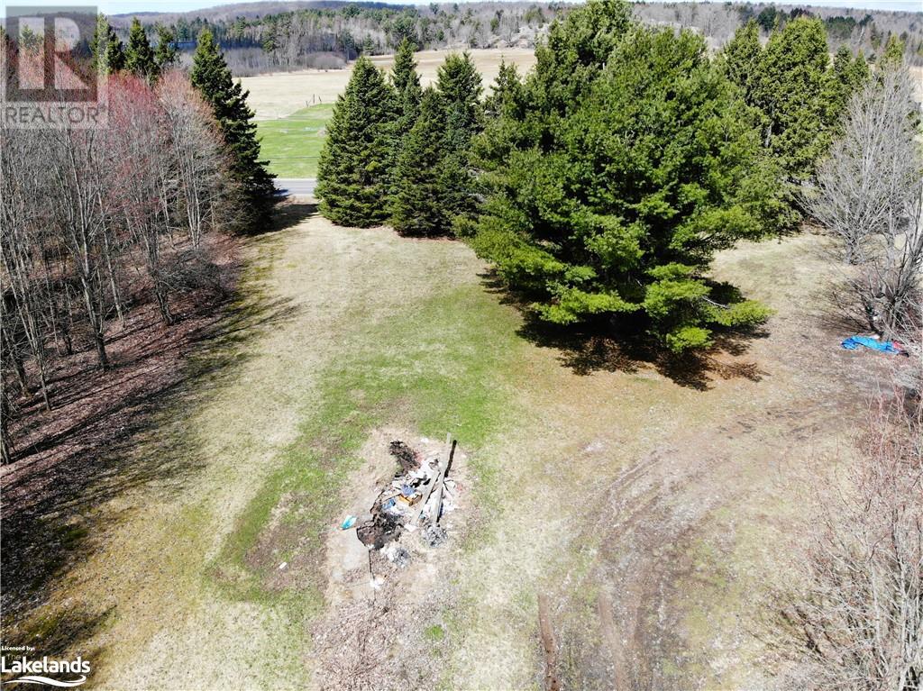 1347 Deebank Road, Utterson, Ontario  P0B 1M0 - Photo 4 - 40566144