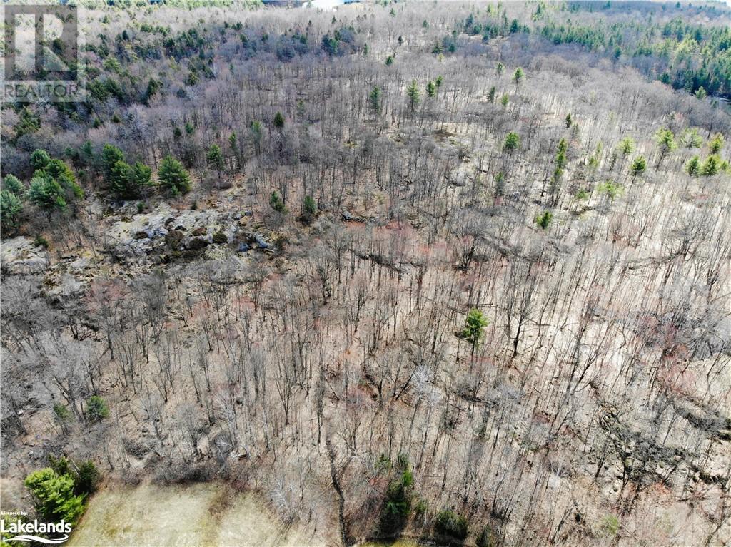 1347 Deebank Road, Utterson, Ontario  P0B 1M0 - Photo 6 - 40566144