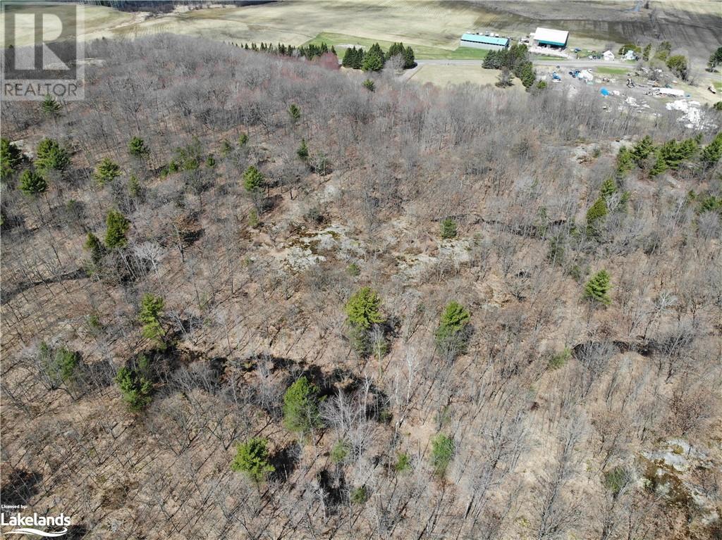 1347 Deebank Road, Utterson, Ontario  P0B 1M0 - Photo 8 - 40566144