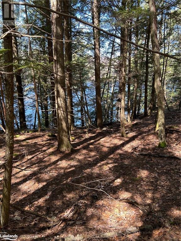 10 Wee Ge Wa Road, Seguin, Ontario  P2A 0E8 - Photo 15 - 40571554