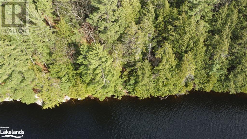 10 Wee Ge Wa Road, Seguin, Ontario  P2A 0E8 - Photo 2 - 40571554