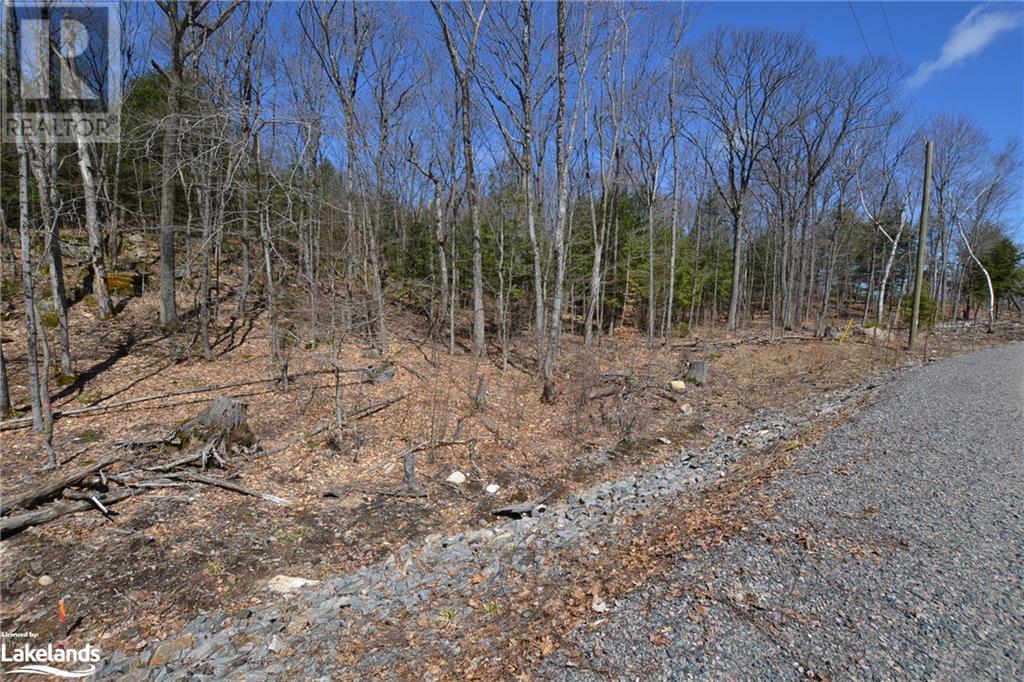 10 Wee Ge Wa Road, Seguin, Ontario  P2A 0E8 - Photo 7 - 40571554