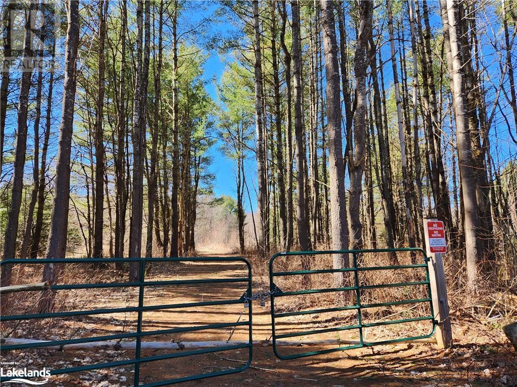 2109 BUCKSLIDE Road, algonquin highlands, Ontario