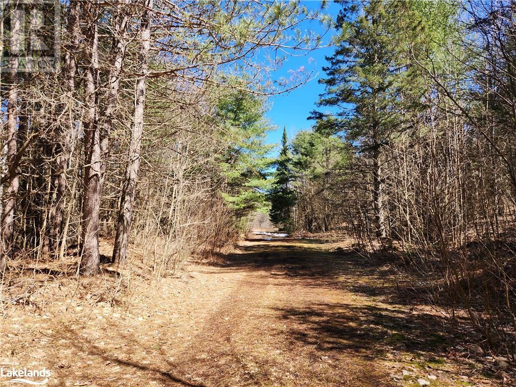 2109 Buckslide Road, Algonquin Highlands, Ontario  K0M 1S0 - Photo 16 - 40569610