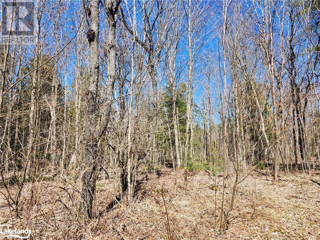 2109 Buckslide Road, Algonquin Highlands, Ontario  K0M 1S0 - Photo 18 - 40569610