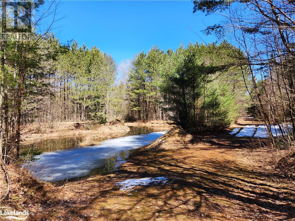 2109 Buckslide Road, Algonquin Highlands, Ontario  K0M 1S0 - Photo 11 - 40569610