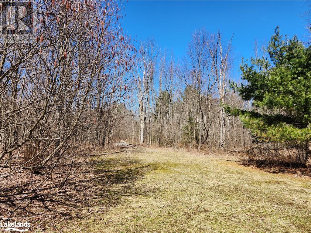 2109 Buckslide Road, Algonquin Highlands, Ontario  K0M 1S0 - Photo 4 - 40569610