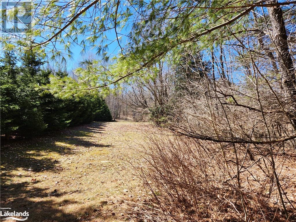 2109 Buckslide Road, Algonquin Highlands, Ontario  K0M 1S0 - Photo 3 - 40569610