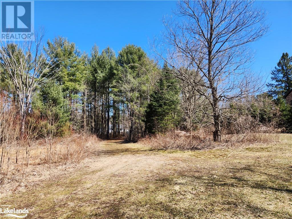 2109 Buckslide Road, Algonquin Highlands, Ontario  K0M 1S0 - Photo 5 - 40569610