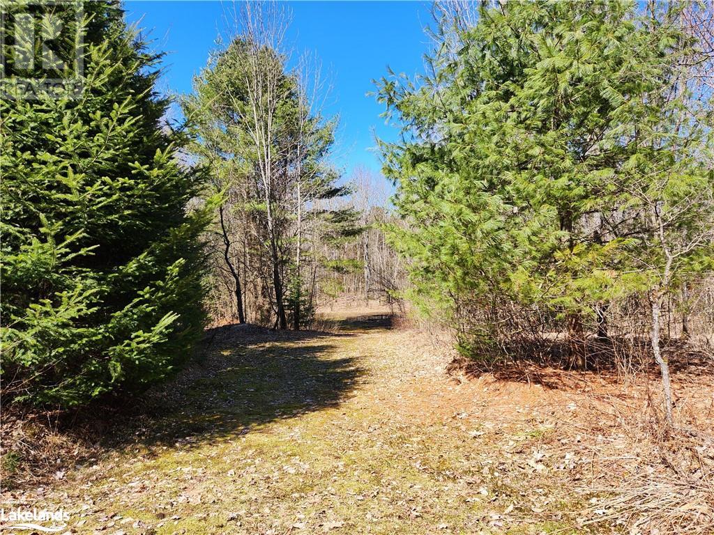 2109 Buckslide Road, Algonquin Highlands, Ontario  K0M 1S0 - Photo 7 - 40569610