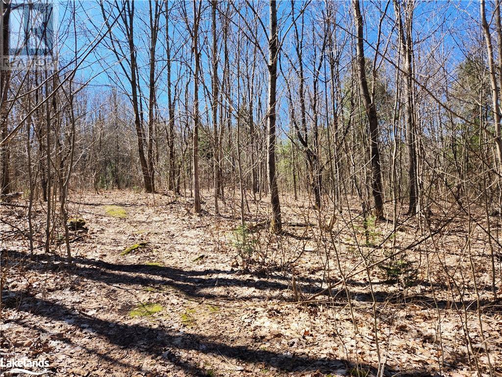 2109 Buckslide Road, Algonquin Highlands, Ontario  K0M 1S0 - Photo 6 - 40569610