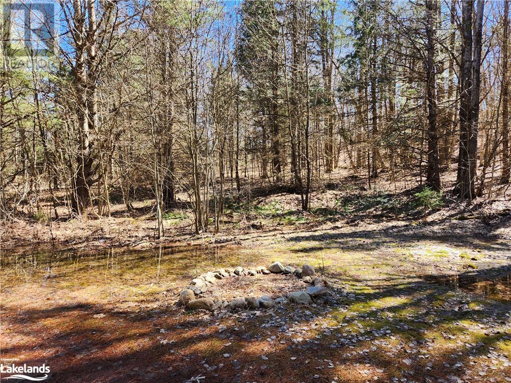 2109 Buckslide Road, Algonquin Highlands, Ontario  K0M 1S0 - Photo 17 - 40569610