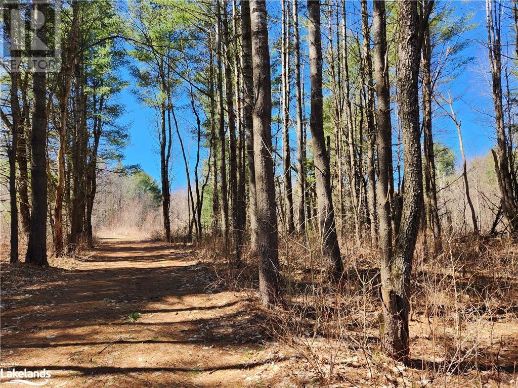 2109 Buckslide Road, Algonquin Highlands, Ontario  K0M 1S0 - Photo 2 - 40569610