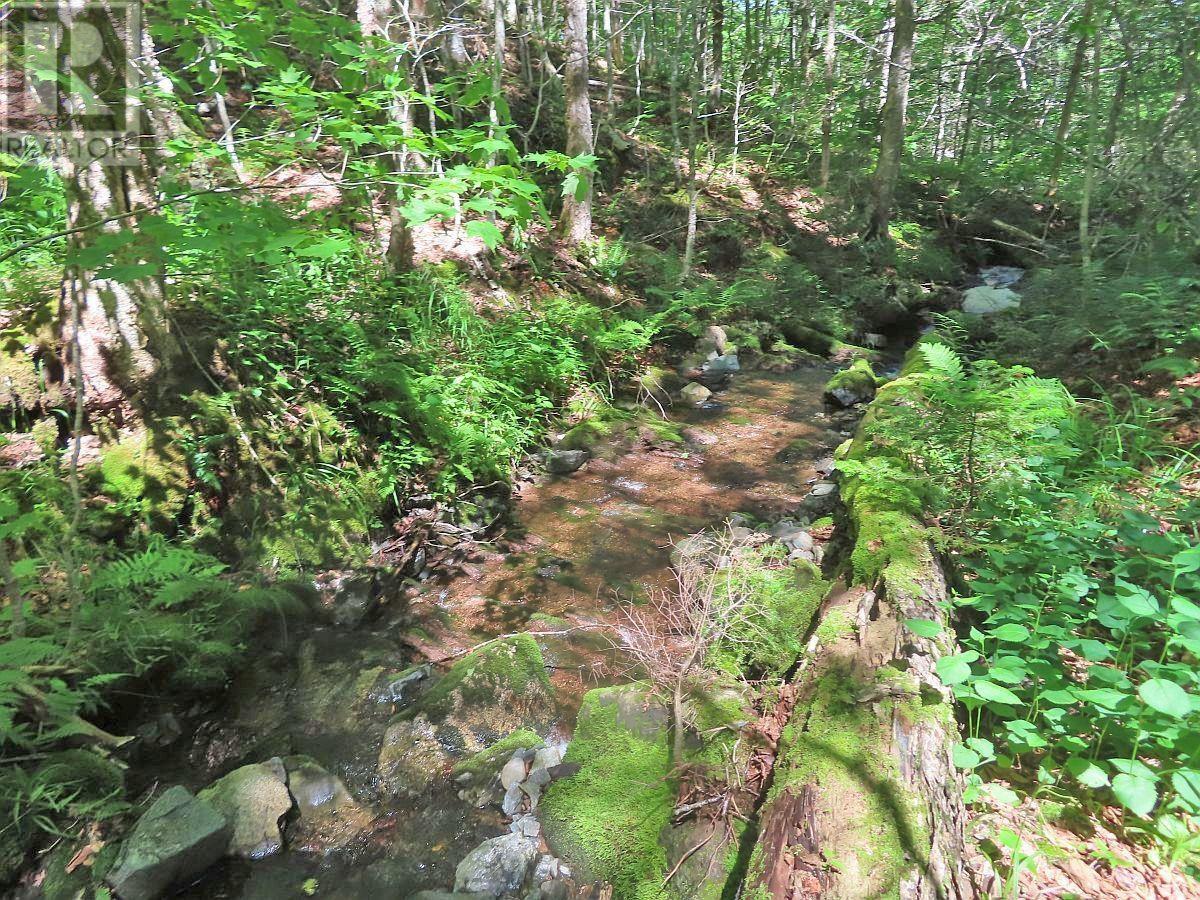 310 Acres River Denys Mountain Road, Milford, Nova Scotia  B0E 2Y0 - Photo 15 - 202407285