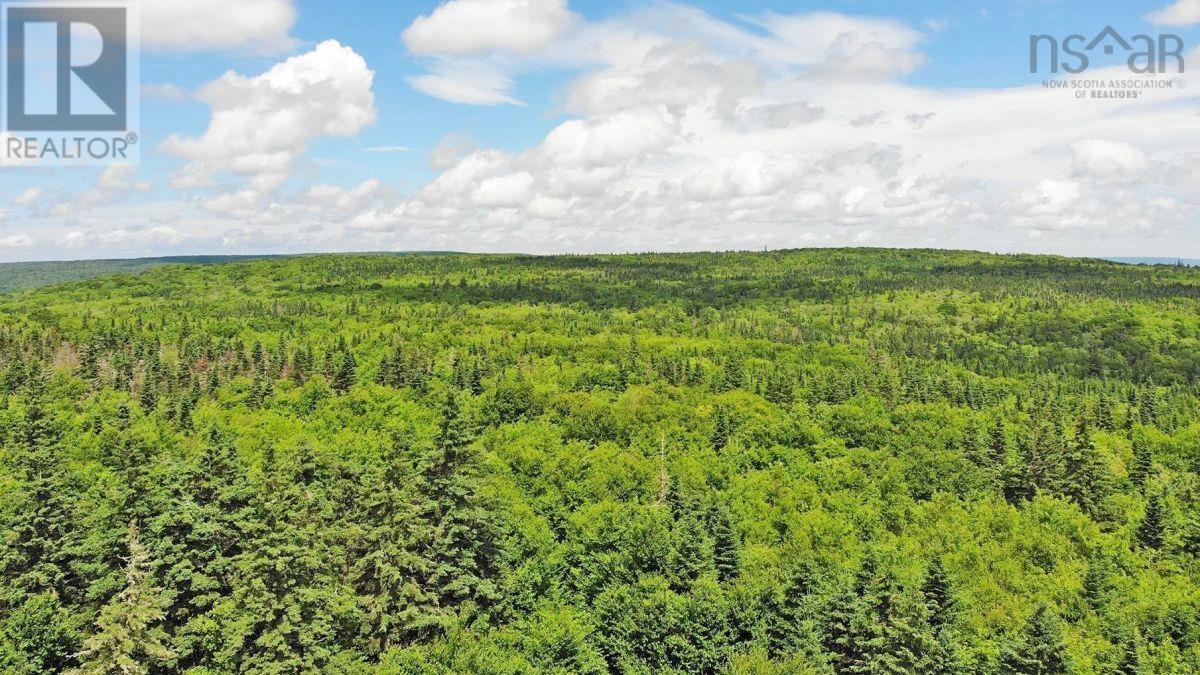 310 Acres River Denys Mountain Road, Milford, Nova Scotia  B0E 2Y0 - Photo 16 - 202407285