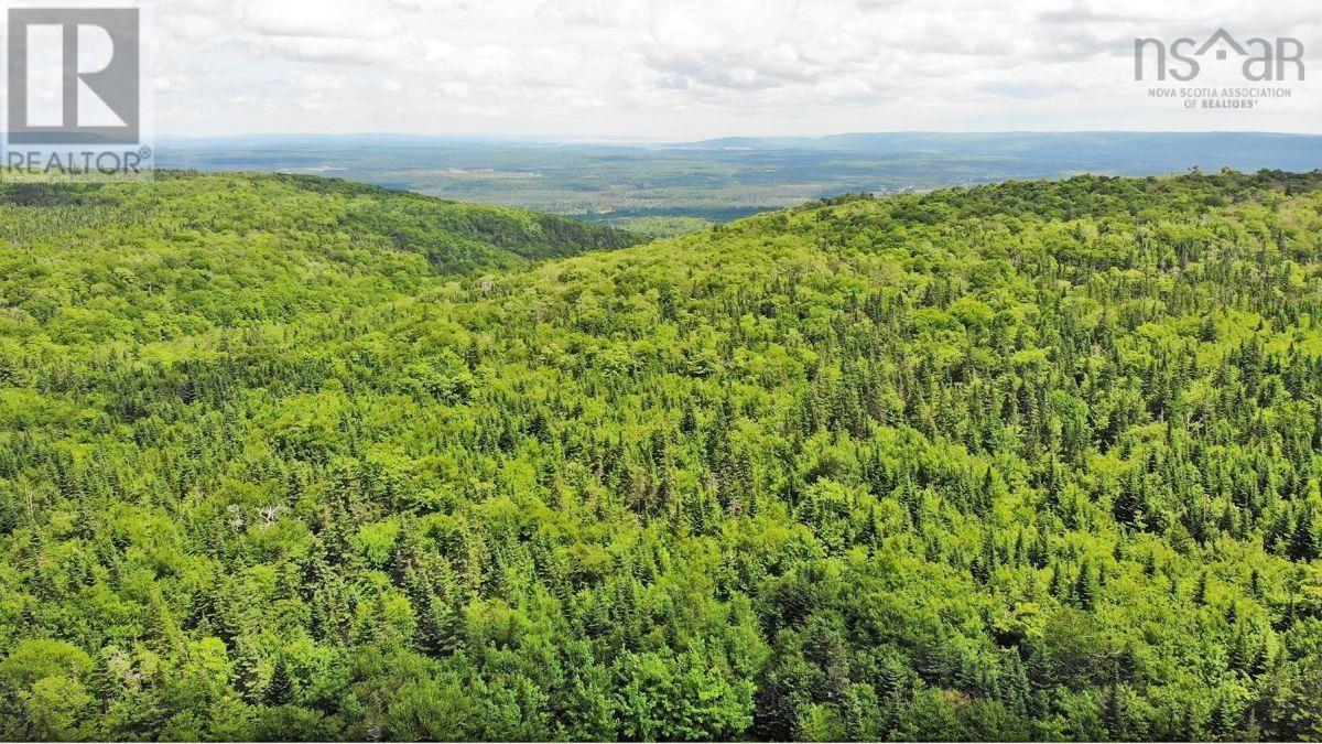 310 Acres River Denys Mountain Road, Milford, Nova Scotia  B0E 2Y0 - Photo 17 - 202407285