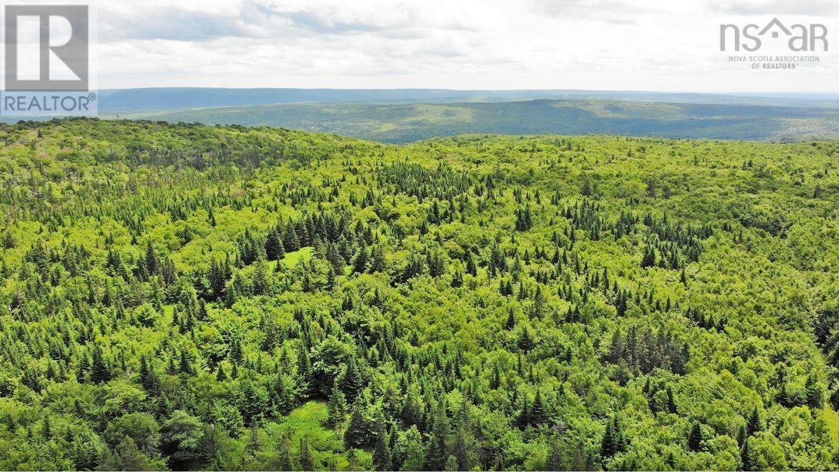 310 Acres River Denys Mountain Road, Milford, Nova Scotia  B0E 2Y0 - Photo 18 - 202407285