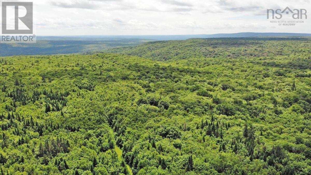 310 Acres River Denys Mountain Road, Milford, Nova Scotia  B0E 2Y0 - Photo 19 - 202407285