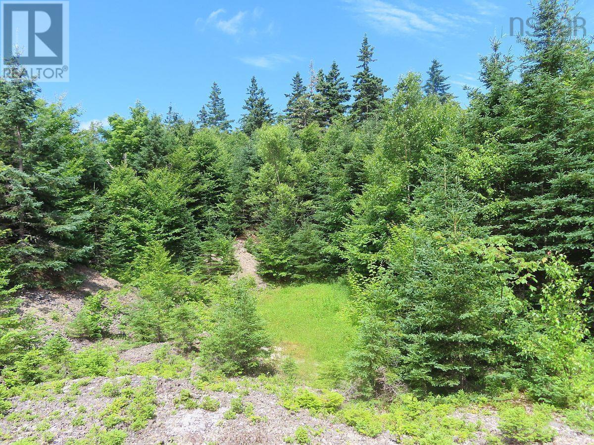 310 Acres River Denys Mountain Road, Milford, Nova Scotia  B0E 2Y0 - Photo 2 - 202407285