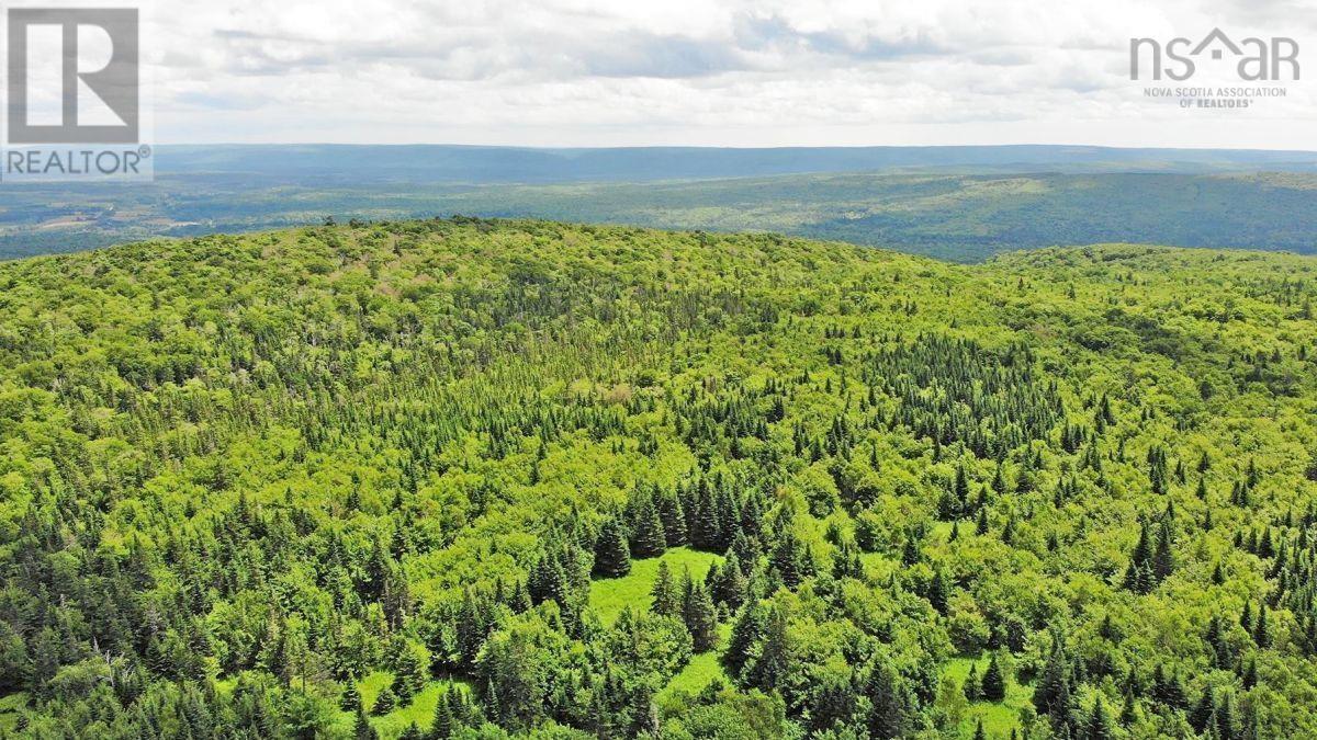 310 Acres River Denys Mountain Road, Milford, Nova Scotia  B0E 2Y0 - Photo 20 - 202407285