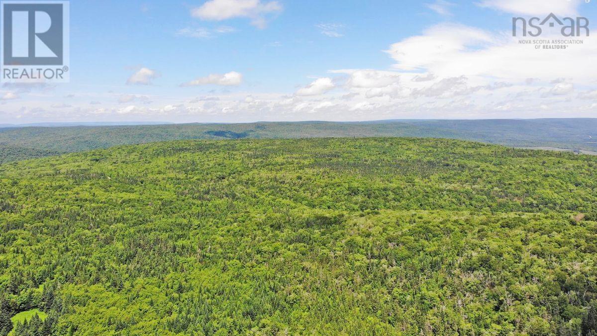 310 Acres River Denys Mountain Road, Milford, Nova Scotia  B0E 2Y0 - Photo 21 - 202407285