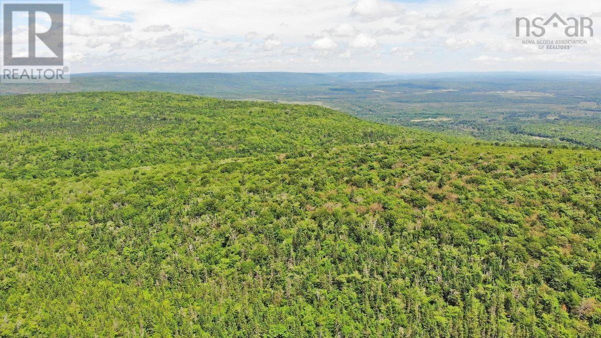 310 Acres River Denys Mountain Road, Milford, Nova Scotia  B0E 2Y0 - Photo 22 - 202407285