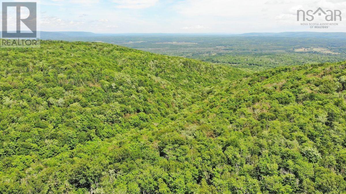 310 Acres River Denys Mountain Road, Milford, Nova Scotia  B0E 2Y0 - Photo 23 - 202407285