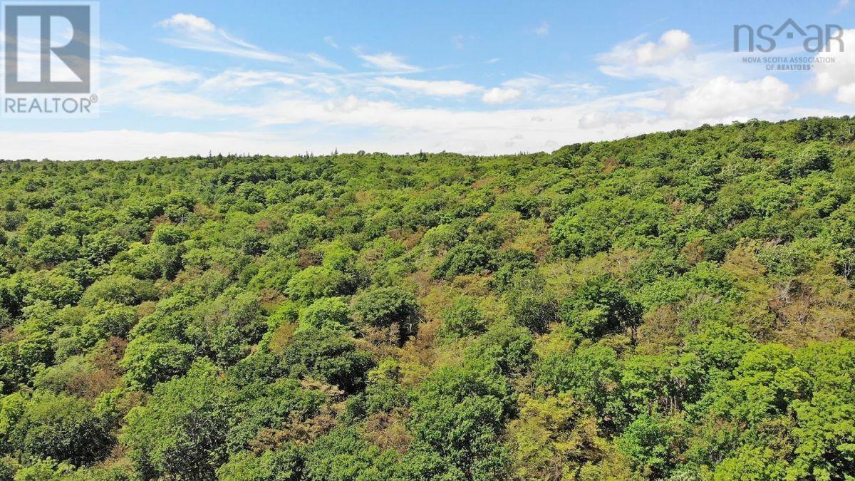 310 Acres River Denys Mountain Road, Milford, Nova Scotia  B0E 2Y0 - Photo 24 - 202407285