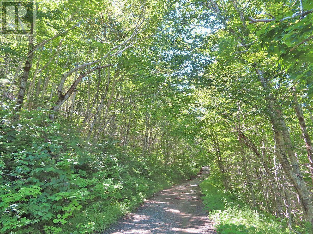 310 Acres River Denys Mountain Road, Milford, Nova Scotia  B0E 2Y0 - Photo 3 - 202407285