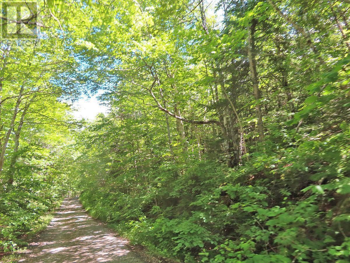 310 Acres River Denys Mountain Road, Milford, Nova Scotia  B0E 2Y0 - Photo 4 - 202407285