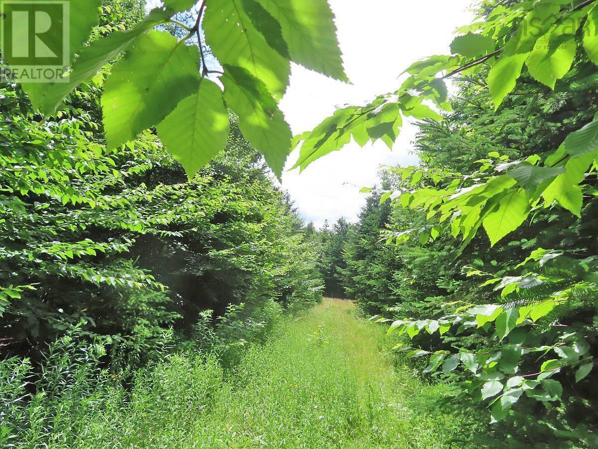 310 Acres River Denys Mountain Road, Milford, Nova Scotia  B0E 2Y0 - Photo 6 - 202407285