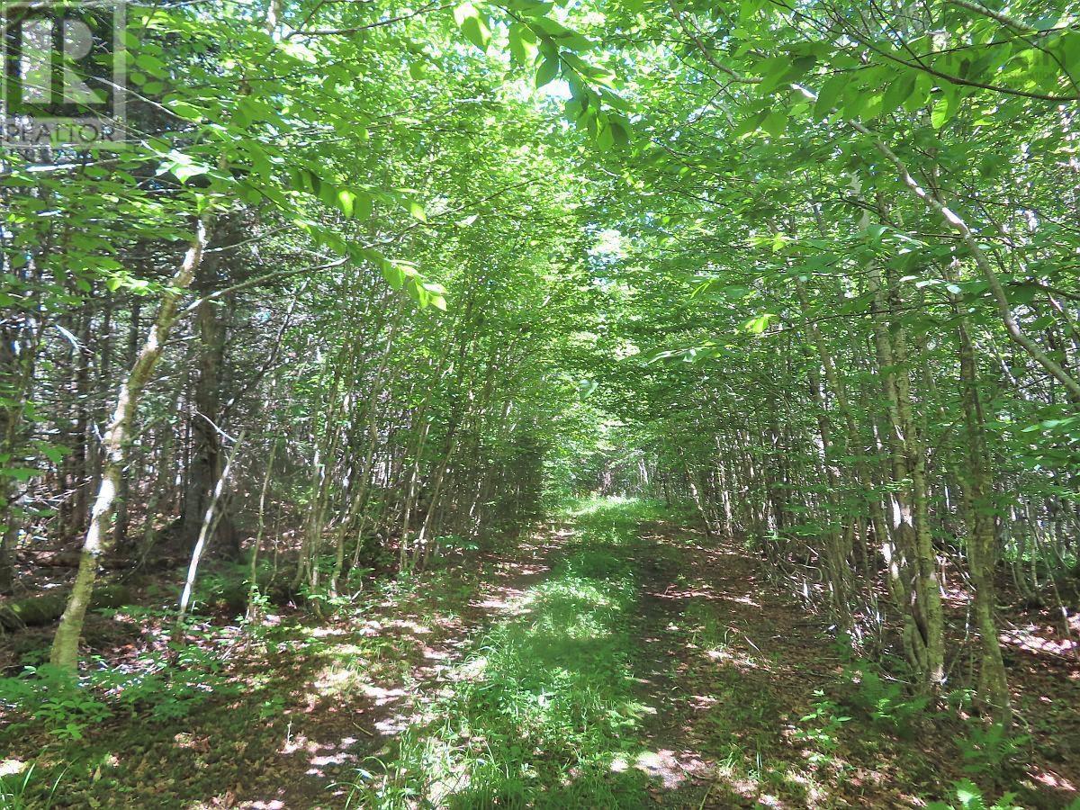 310 Acres River Denys Mountain Road, Milford, Nova Scotia  B0E 2Y0 - Photo 7 - 202407285